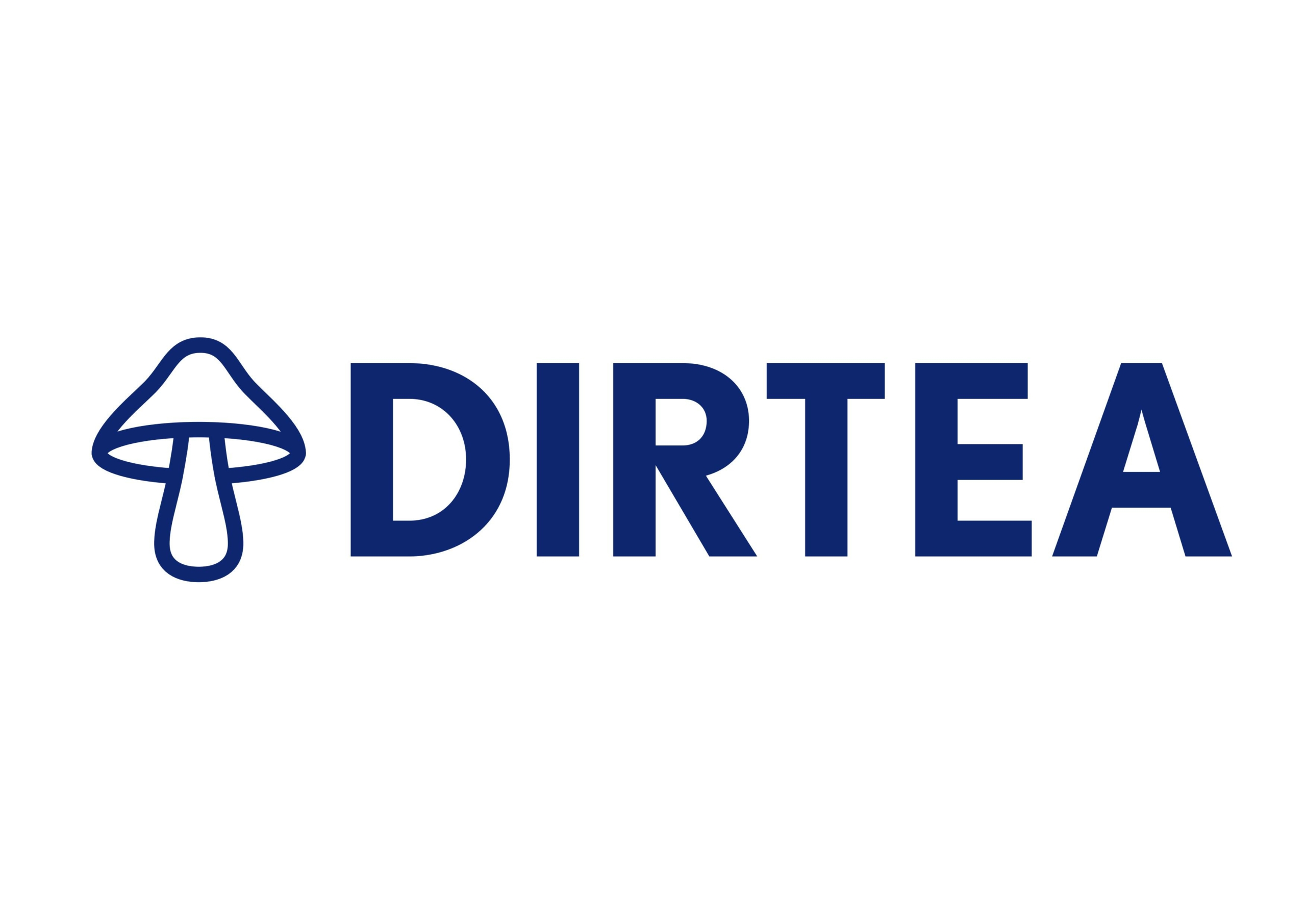 Dirtea Logo+Icon_Landscape copy (1)